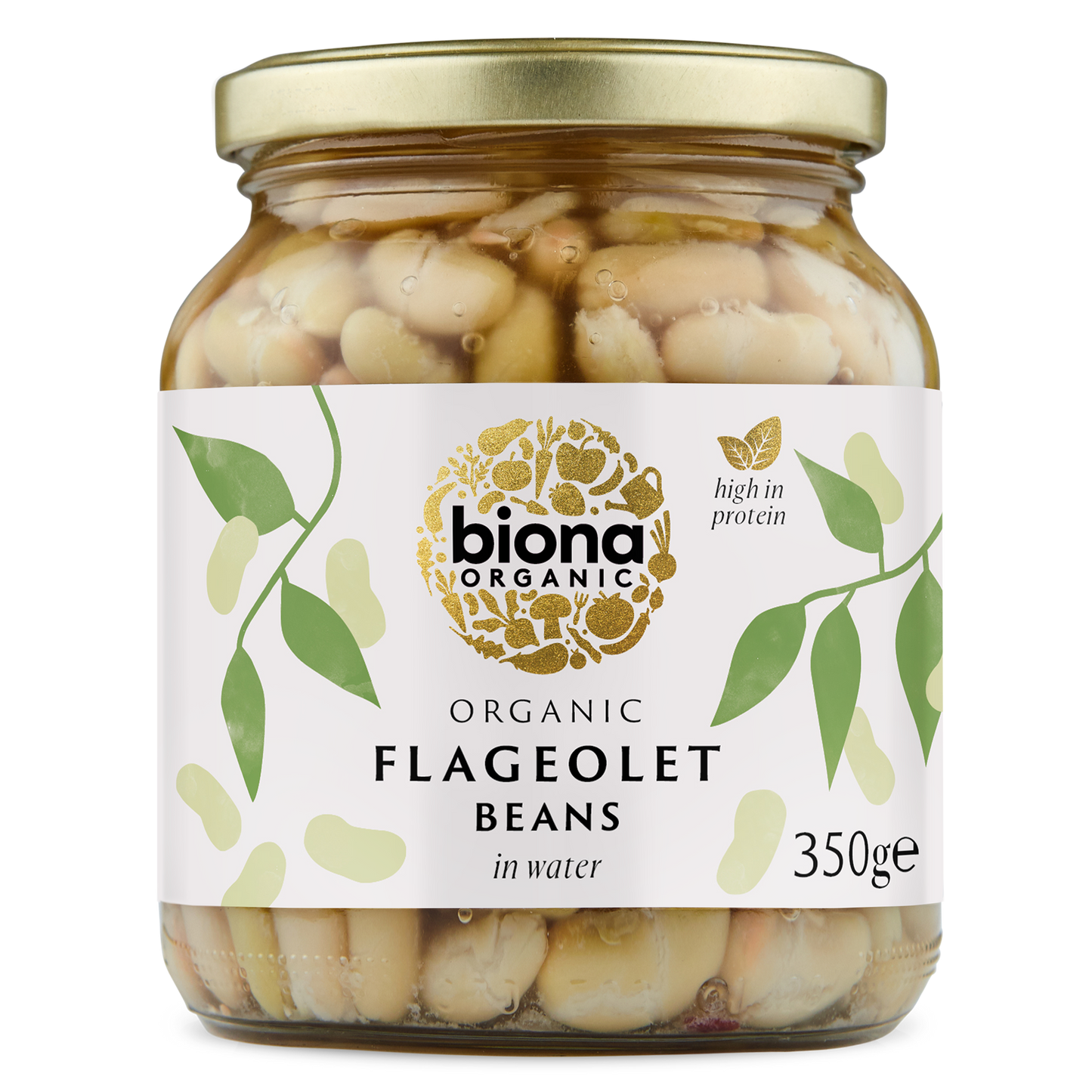 FLAGEOLET BEANS