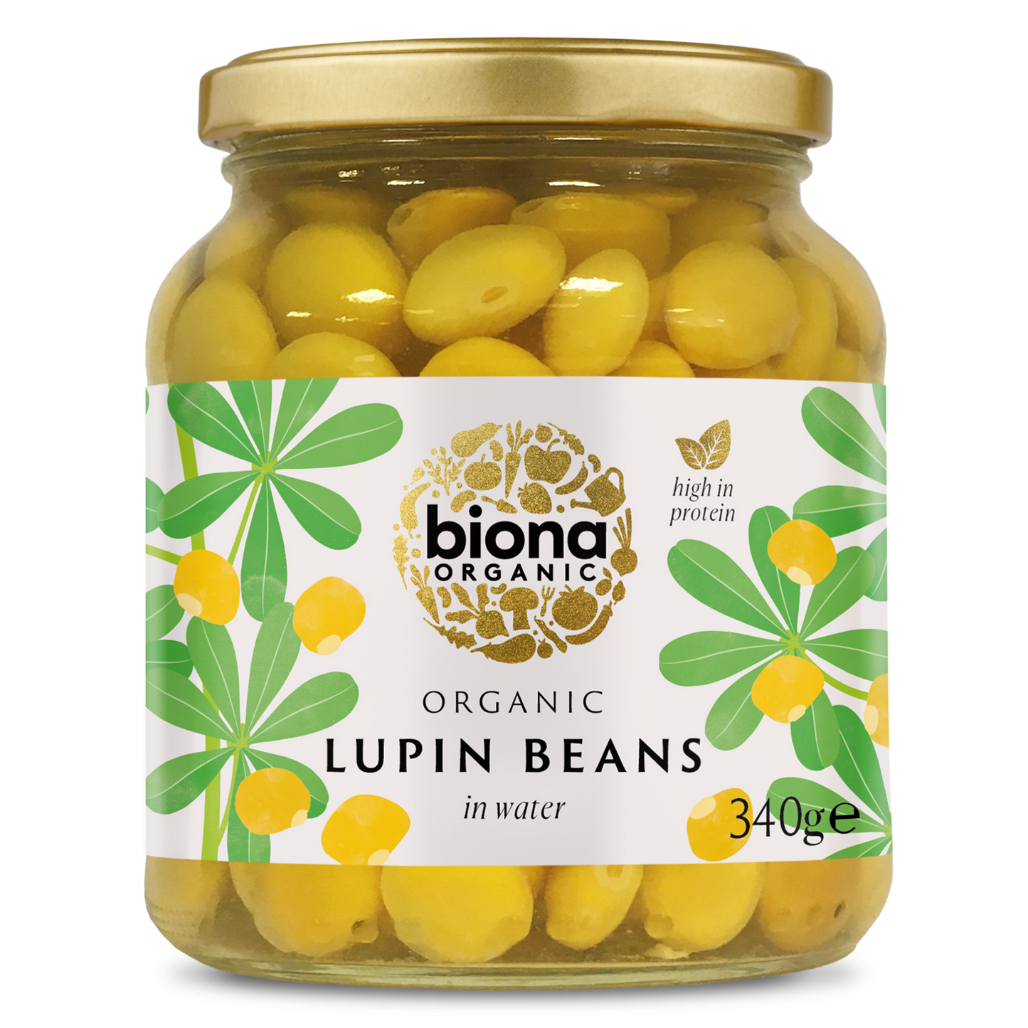 LUPIN BEANS