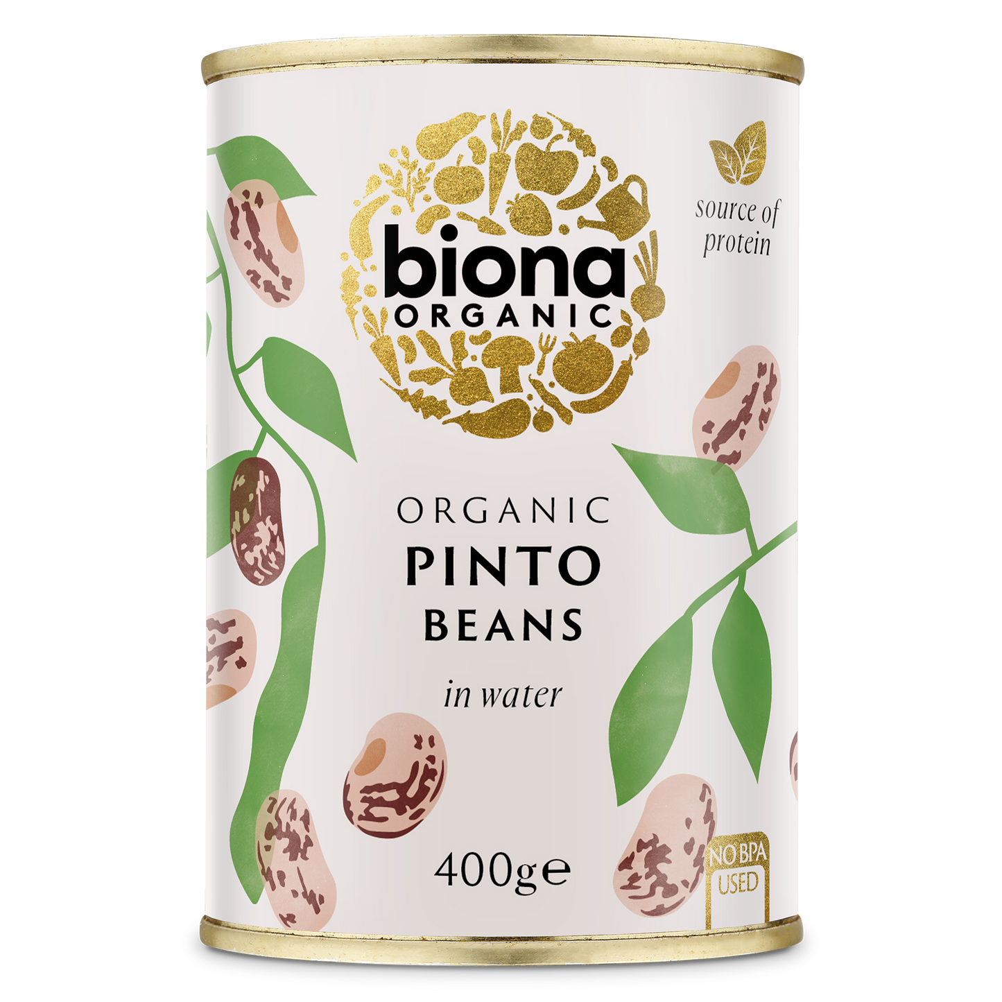 PINTO BEANS